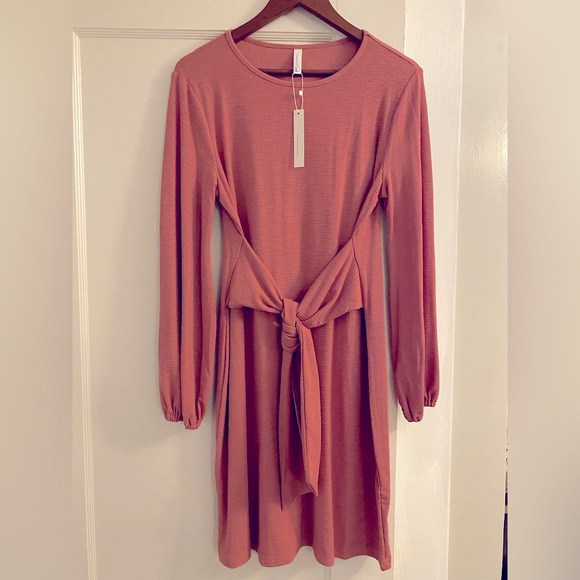 Dresses & Skirts - NWT Women’s Pink/Mauve Long Sleeve Midi Dress